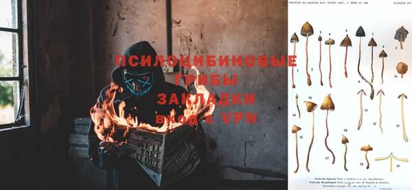 молекула духа Алексеевка