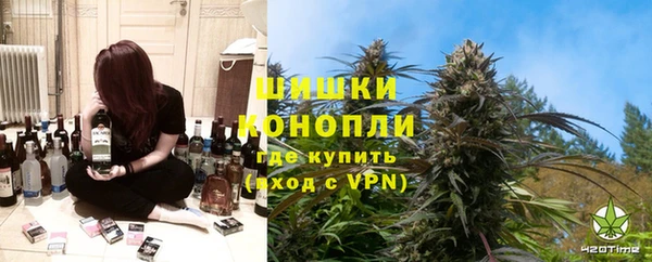 дмт Алексин