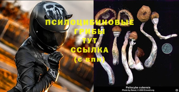 молекула духа Алексеевка