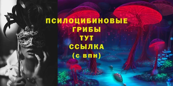 молекула духа Алексеевка